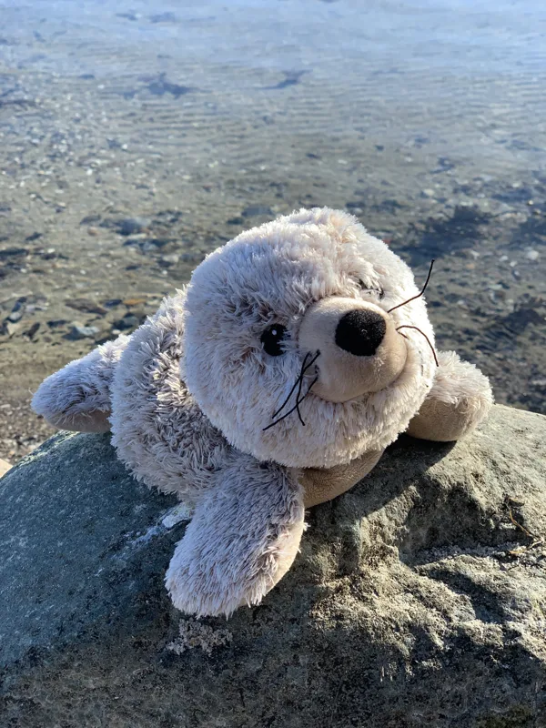 Sæl ❤️