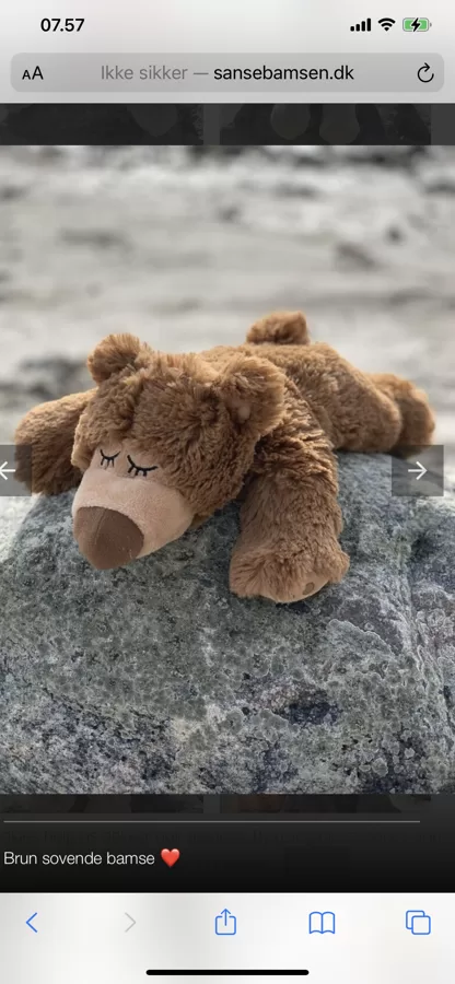 Sovende Bjørn ❤️